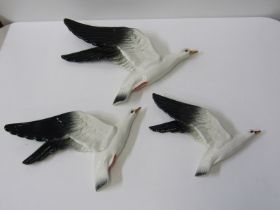 BESWICK, a set of 3 graduated seagulls, model number 922