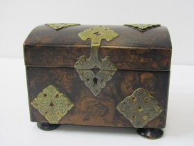 ANTIQUE TEA CADDY, a simulated burr domed top twin section tea caddy with engraved brass mount, 15cm