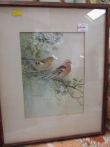 ROLAND GREEN, signed watercolour, "Study of two Chaffinches on blossoming bough", 25cm x 19cm