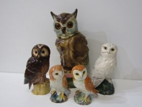 OWLS, 2 Whyte and Mackay decanters, 2 Beswick owls and 1 other