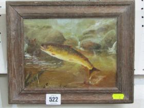 ROWLAND KNIGHT, oil on card "Brown Trout" 14cm x 19cm