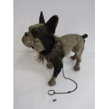 ANTIQUE FRENCH BULL DOG TOY, with papier mache body, nodding head and opening mouth, 41cm