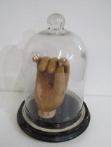 TABLE DISPLAY, leather hand under glass dome, on circular wood base, 32cm height