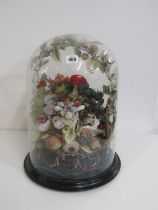 VICTORIAN BIRD & FLORAL DISPLAY, under glass dome on circular turned wood base, 45cm height