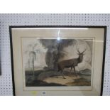 EARLY 19TH CENTURY HAND COLOURED AQUATINT, "The Elk", by Samuel Daniel, dated 1807, 32cm x 44cm