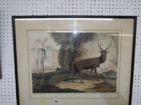 EARLY 19TH CENTURY HAND COLOURED AQUATINT, "The Elk", by Samuel Daniel, dated 1807, 32cm x 44cm