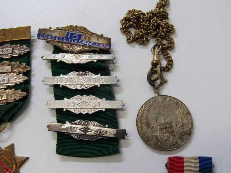 MEDALS & MEDALLIONS, 3 assorted Dutch medals, other medallions, other driving medals and clasps, etc - Image 3 of 8