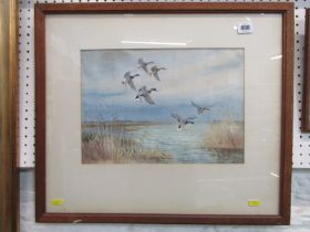 ROLAND GREEN, watercolour "Ducks in flight", 24cm x 34cm