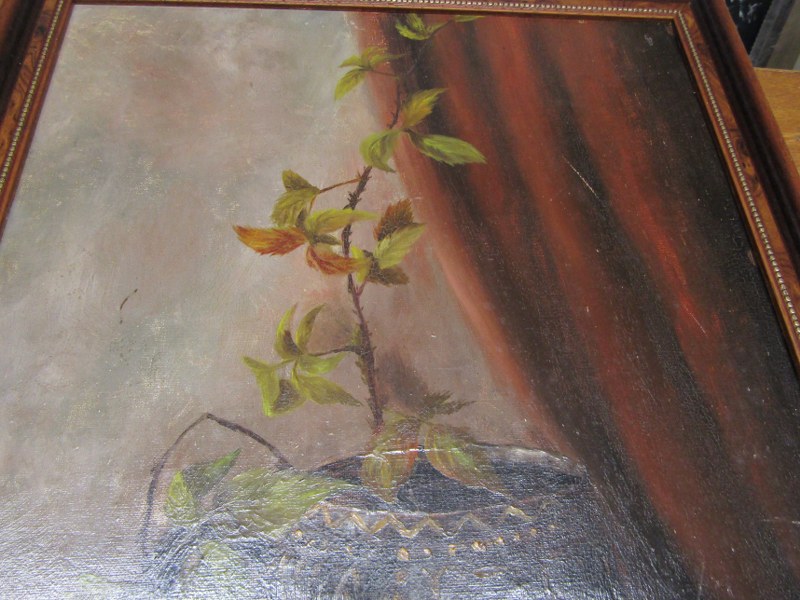 OIL ON BOARD, still life "jug with apples" indistinctly signed to bottom right hand corner 49 x - Image 3 of 4
