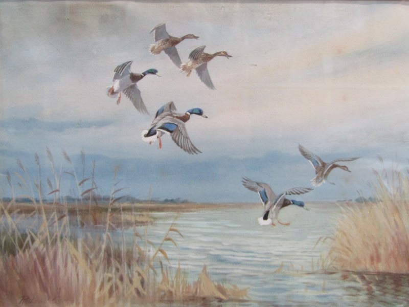 ROLAND GREEN, watercolour "Ducks in flight", 24cm x 34cm - Image 2 of 3