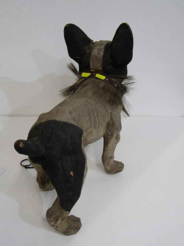 ANTIQUE FRENCH BULL DOG TOY, with papier mache body, nodding head and opening mouth, 41cm - Image 7 of 8