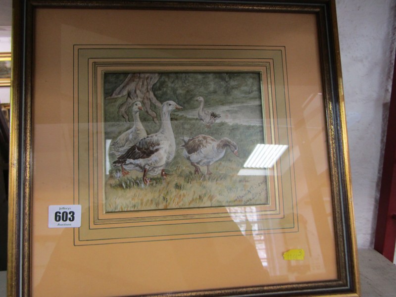 MAY NICOLSON, signed watercolour, dated 1905, "Study of Geese on Riverbank", 15cm x 17cm