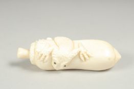 A carved bone snuff bottle with a frog, 8cm long.