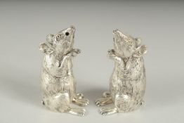 A PAIR OF .800 SILVER PLATED MICE SALT AND PEPPERS.5cm high.
