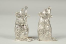 A good pair of mice salt and peppers, 5cm.