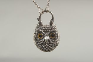A silver owl padlock and chain in a box.