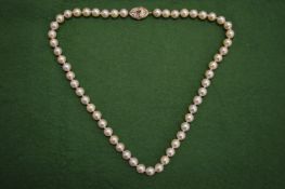 A pearl necklace with decorative clasp.