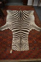 A zebra skin rug.