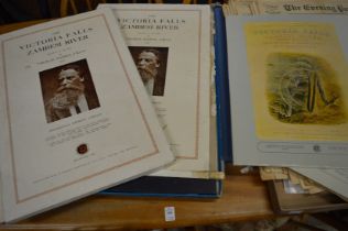 Thomas Baines, The Victoria Falls, Zambezi River, colour plate books with associated items.