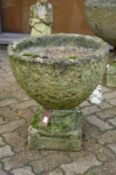 A good pair of weathered reconstituted stone pedestal planters.