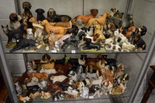 A large collection of porcelain models of dogs.