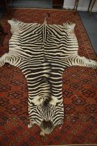 A zebra skin rug.