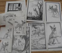 NEAVE PARKER, artist & illustrator: coll'n of 18 b/w. scraperboard illustrations for the "Animals
