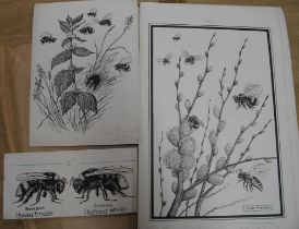 NEAVE PARKER, artist & illustrator: coll'n of 10 b/w. scraperboard illustrations for "BOMBUS", i.