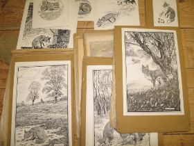 NEAVE PARKER, artist & illustrator; coll'n of 12 b/w. scraperboard illustrations for "Vulpes", i.