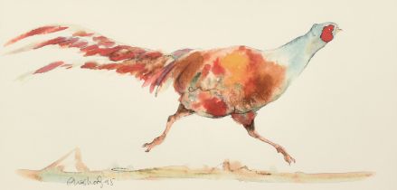 Claire Norrington (b. 1969), a running pheasant, watercolour, signed Claire Shirley, 7" x 14.5" (