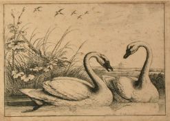 Hollar after Barlow, 'Two Swans Swimming', etching, 5.5" x 8" (14 x 20cm), along with an Old