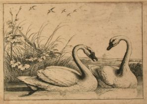 Hollar after Barlow, 'Two Swans Swimming', etching, 5.5" x 8" (14 x 20cm), along with an Old