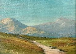Patrick Walsh (20th Century) Ireland, 'Near Molls Gap, Ring of Kerry', oil on canvas board,