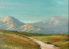 Patrick Walsh (20th Century) Ireland, 'Near Molls Gap, Ring of Kerry', oil on canvas board,