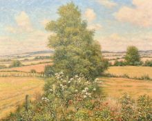 Mervyn Goode (20/21st Century), 'Poppies and Thistledown on the Downs', oil on canvas, signed, 24" x