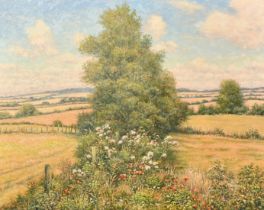 Mervyn Goode (20/21st Century), 'Poppies and Thistledown on the Downs', oil on canvas, signed, 24" x