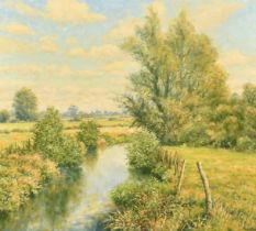 Mervyn Goode (20/21st Century), 'Old Fenceposts Along the Summer Backwater, oil on canvas, signed,