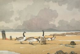 Bryan Conway (20th Century), 'Canada Geese, Anglesey', watercolour, signed, 14" x 21" (36 x 53.