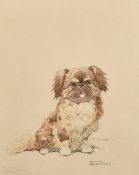 Harry Rountree (1878-1950), a study of a small dog, watercolour and pencil, signed and inscribed 'To