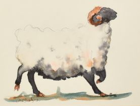 Claire Norrington (b. 1969), a poised ram, watercolour, signed Claire Shirley, 7" x 9.5" (18 x