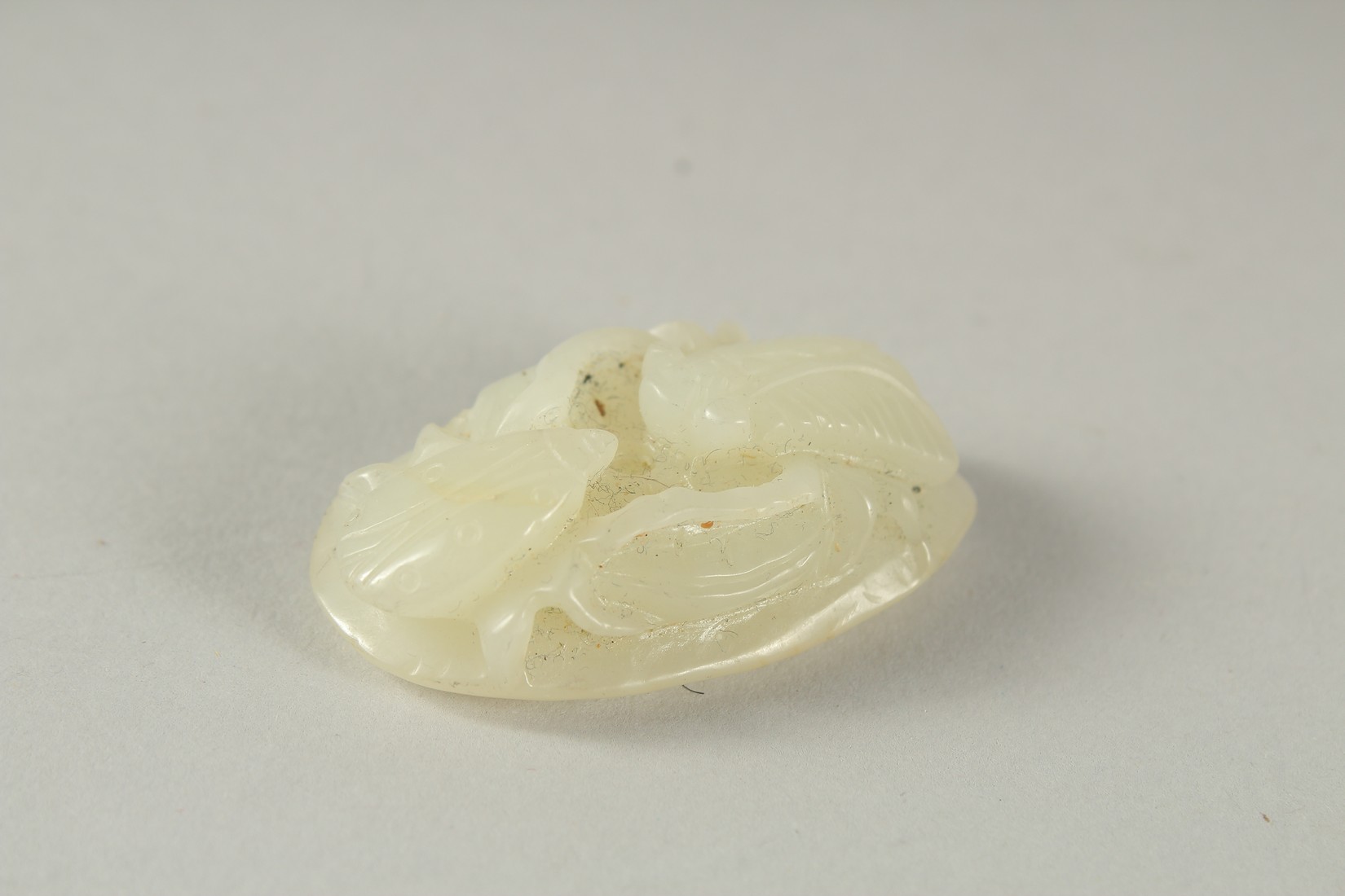 A 19TH CENTURY CHINESE CARVED JADE INSECT PENDANT, 4.5cm x 2.5cm.
