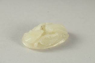 A 19TH CENTURY CHINESE CARVED JADE INSECT PENDANT, 4.5cm x 2.5cm.