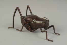 A JAPANESE BRONZE OKIMONO OF A TRUE KATYDID, with articulated legs, signed, 16cm long.