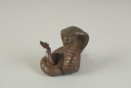 A JAPANESE BRONZE OKIMONO OF A COILED COBRA, 4cm high.