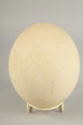 AN EARLY 20TH CENTURY EYGPTIAN CARVED OSTRICH EGG.