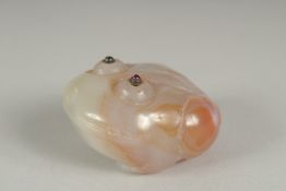 A CARVED AGATE PEBBLE IN THE FORM OF A FROG, with stone inset eyes.