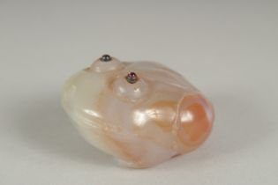 A CARVED AGATE PEBBLE IN THE FORM OF A FROG, with stone inset eyes.