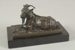 CHRISTOPHER FRATIN (1800 - 1864) FRENCH. AN EARLY CAST BRONZE GOAT RESTING, on a black marble