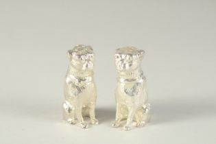 A PAIR OF SILVER PLATED SALT AND PEPPERS modelled as seated dogs. 2.5ins long.