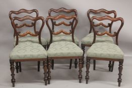 A GOOD SET OF SIX VICTORIAN ROSEWOOD DINING CHAIRS with padded seats and turned legs.